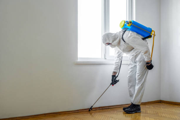 Professional Pest Control in Sulphur, OK